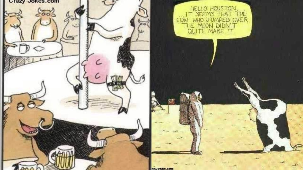 20 funny cow Comics for Lovers of animal Comics