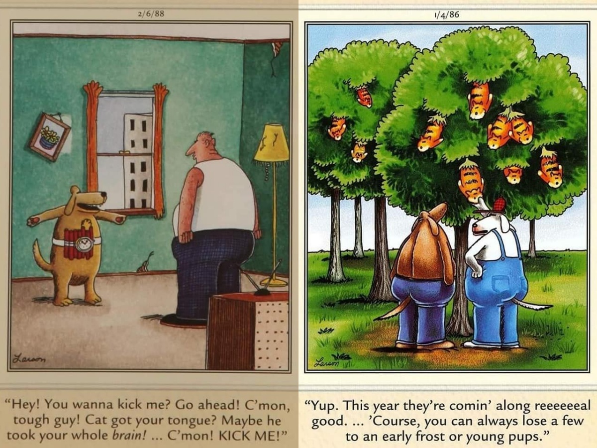 New 20 Best Far Side Comics That Will Boost Your Mood