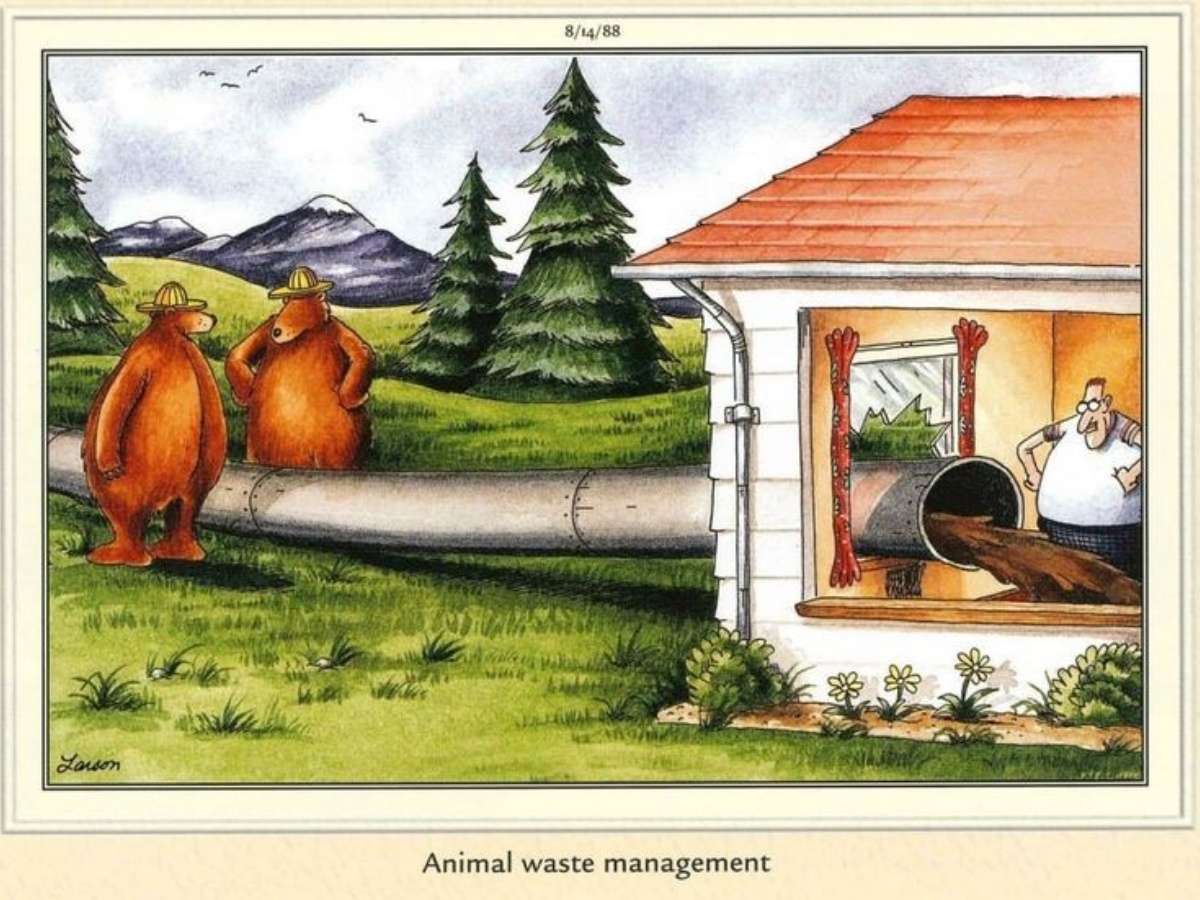 Top 20 Far Side Comics to Read for a Good Laugh