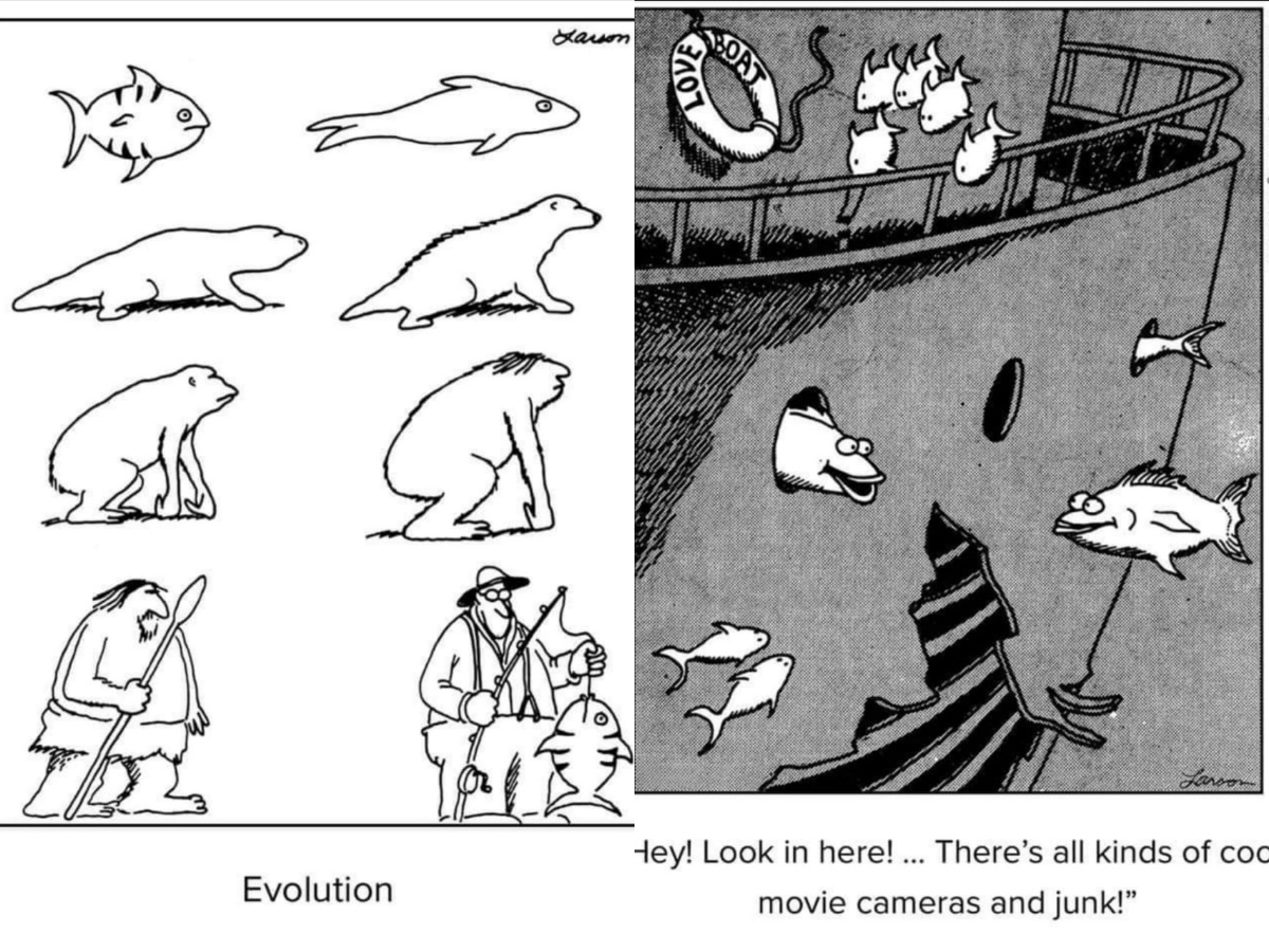 20 NEW  Far Side That will may your day better