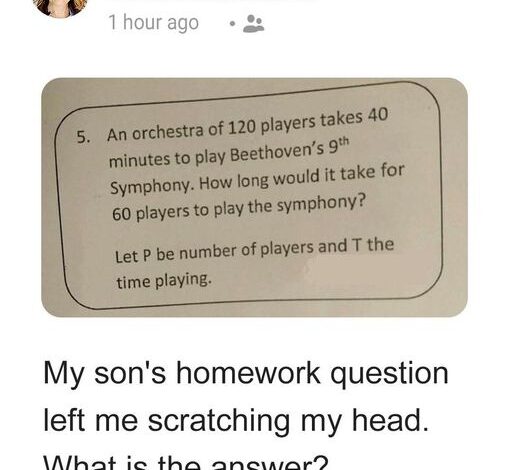 Parents Turn to Online Community for Help with Baffling Homework Assignments