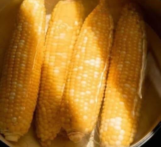 How Long Does It Take to Boil Corn on the Cob to Get Ideal Cooking?