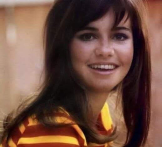 Sally Field, 76, never underwent plastic surgery despite fighting ageism in Hollywood her whole career.