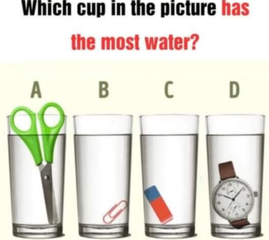 Which of the glasses contains the largest amount of water?