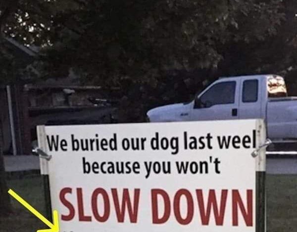 The Sign That Speaks for All Pet Owners