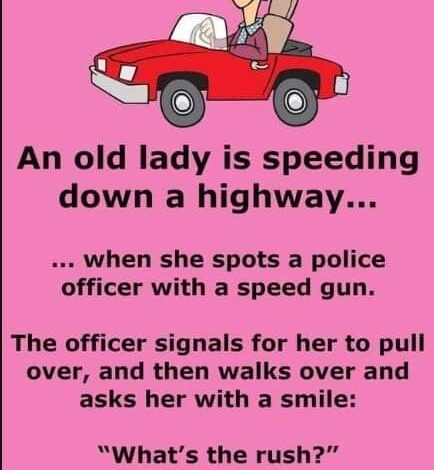 A cop pulls over an old lady for speeding