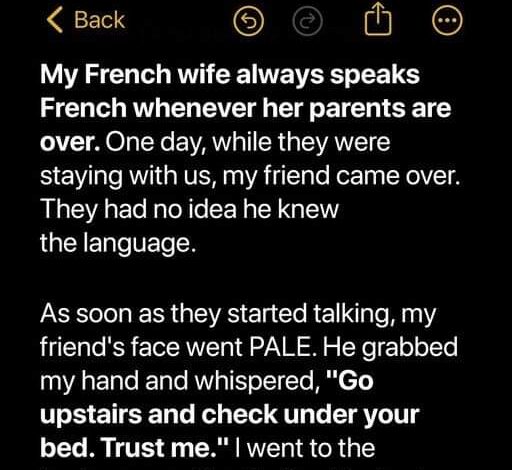 I Asked My Friend to Come over and His Ability to Speak French Revealed a Startling Family Drama