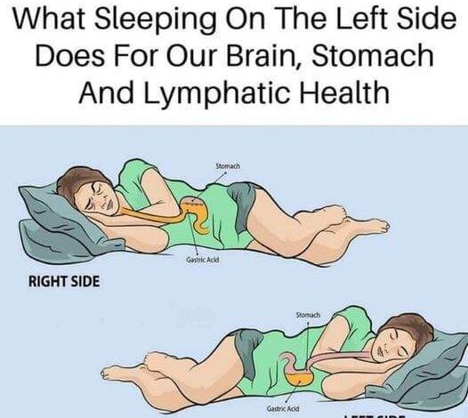 The Benefits of Sleeping on the Left Side for Brain, Stomach, and Glympathic Health –