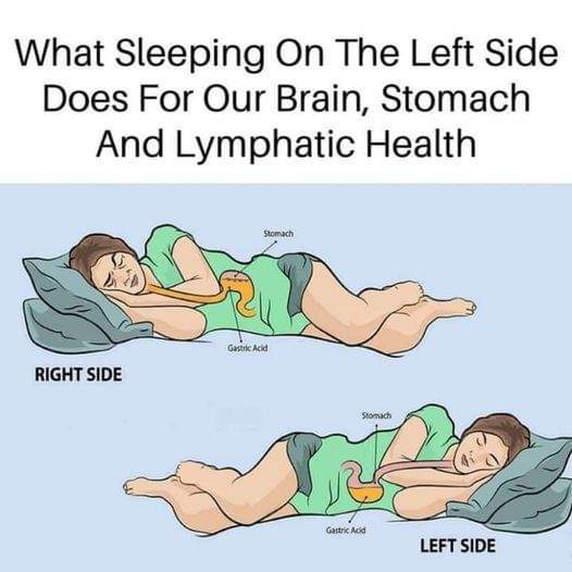 The Benefits of Sleeping on the Left Side for Brain, Stomach, and Glympathic Health –