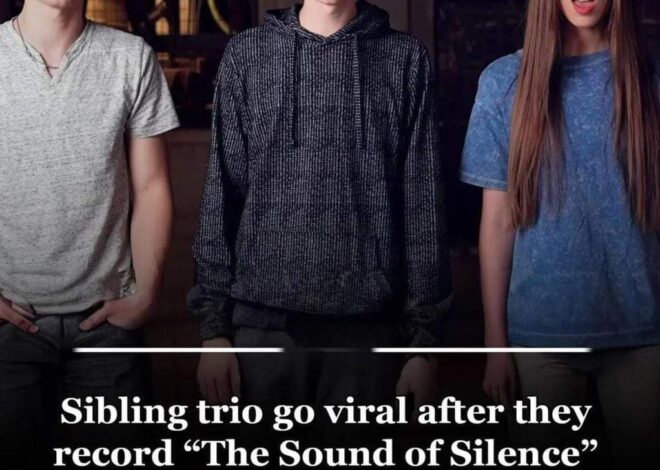 You’ve Never Heard ‘The Sound of Silence’ Like This: Lifein3D’s Mind-Blowing Harmonies 