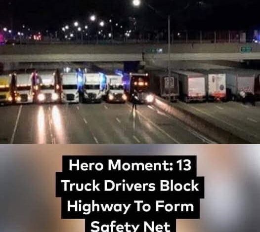 No one knows why 13 trucks are blocking the highway, when the truth is revealed