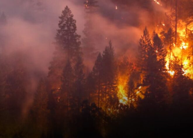 15 Los Angeles Areas Under Immediate Threat amid Pacific Palisades Fire — Details