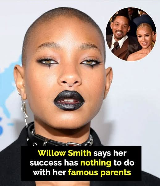 After being called a nepotist, Willow Smith breaks free and makes her own way.