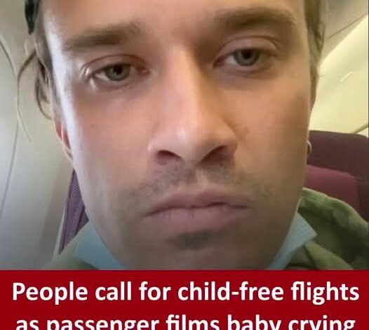 Calls for child-free flights after 26-hour journey with baby